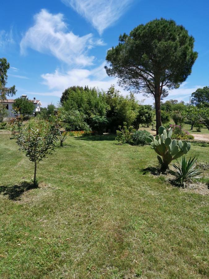 Green House سينيسكولا المظهر الخارجي الصورة