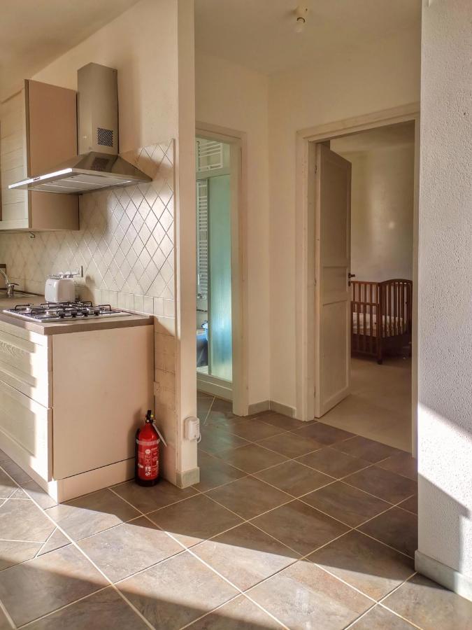 Green House سينيسكولا المظهر الخارجي الصورة