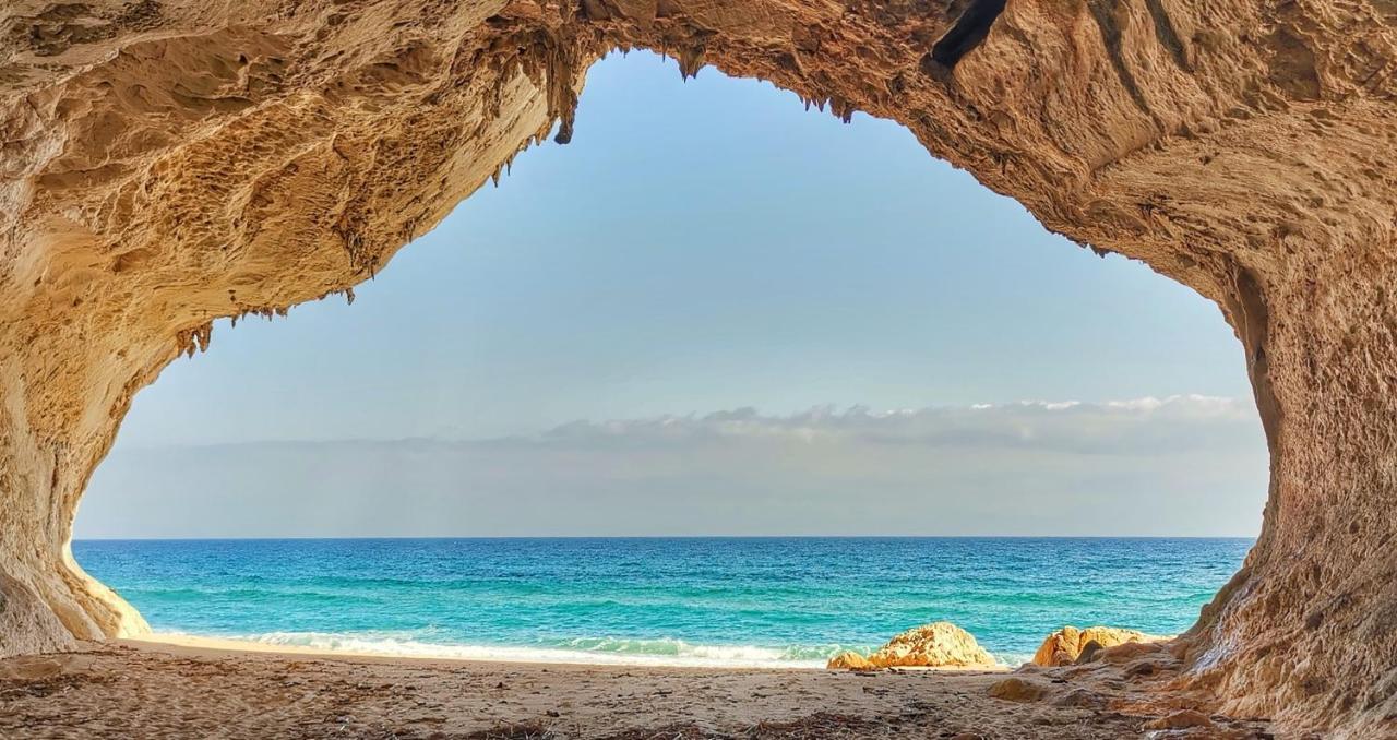 Green House سينيسكولا المظهر الخارجي الصورة
