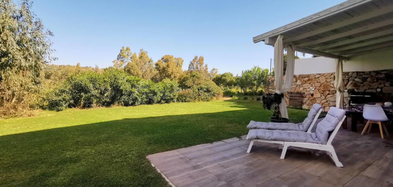 Green House سينيسكولا المظهر الخارجي الصورة